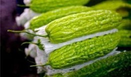 孕妇可以吃葵瓜,葵瓜助力母婴健康