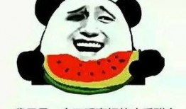 吃瓜评价图片,揭秘图片背后的故事