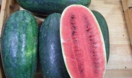 山东劳动职业吃瓜,吃瓜群众视角下的职场百态