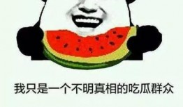 要流量吃瓜群众,揭秘网络舆论场中的众生相