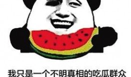 吃瓜群众组口号