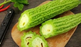 熙瓜没吃,探寻美食之旅