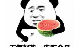 好嗨哒吃瓜视频