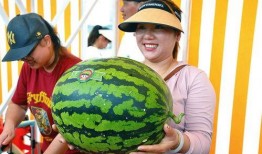 吃瓜的king,网络红人的崛起与影响力