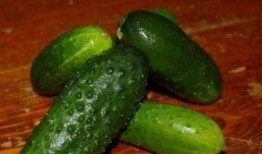 孕期吃绿皮瓜,营养美味，助力母婴健康