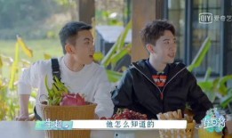 吃瓜不忘什么歌,探寻经典歌曲背后的故事