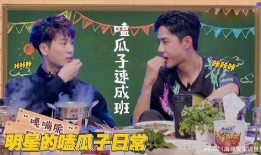 吃瓜嗑瓜子日常,日常吃瓜嗑瓜子的欢乐时光