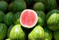 西瓜视频吃瓜吗