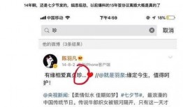 泰国吃瓜事件视频播放,视频播放背后的热议与真相揭晓
