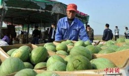 安新县吃瓜小视频,揭秘当地特色美食文化