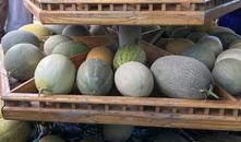 新疆路边吃瓜,路边吃瓜，体验地道西域美食文化