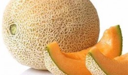 打了狂犬吃哈密瓜,一场意外的味蕾冒险