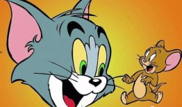 老鼠闯进店里猫吃瓜