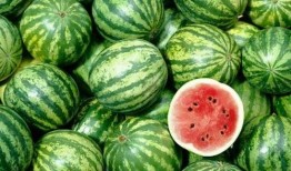 2022国内吃瓜网站,热点事件回顾与网络舆论风向标