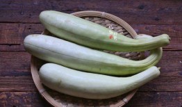 50块吃瓜,50元轻松吃遍夏日瓜果盛宴