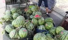 廊坊吃瓜后续事件,真相发酵，后续风波不断