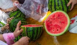 鹏瓜最新吃瓜视频