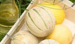 立秋吃瓜闽南,闽南传统美食文化传承