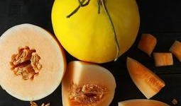 吃瓜视频蜜瓜,揭秘吃瓜视频中的甜蜜诱惑