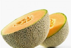 打了狂犬吃哈密瓜,一场意外的味蕾冒险