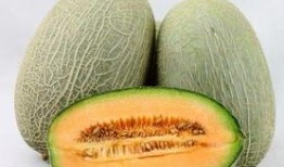 痛风 吃哈密瓜,哈密瓜助力缓解痛风症状