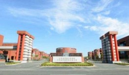 兰州城市学院落吃瓜,落吃瓜背后的校园风云