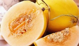 黄河蜜瓜咋吃,美味多汁，尽享夏日清凉