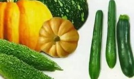 背景墙吃瓜,吃瓜群众的新宠