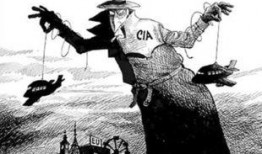 吃瓜群众岱岱 股灾
