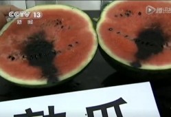 台湾角落吃瓜视频,揭秘吃瓜群众的日常趣事