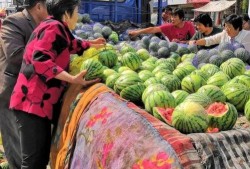 西瓜自由吃瓜视频,畅享夏日清凉时光