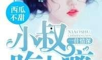 小说吃瓜系列,揭秘娱乐圈背后的秘密与真相