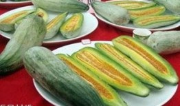 酥瓜什么季节吃,夏季消暑佳品，清凉一夏的甜蜜选择