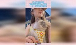 猫猫吵架路人吃瓜,路人围观，吃瓜群众现场直播