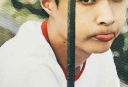 老外明星吃瓜表情包