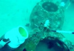 吃货吃瓜小视频,吃货们的美食盛宴