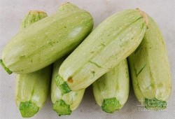 生的瓜怎么吃,探索新鲜生瓜的多彩食法