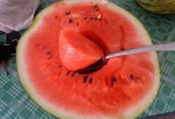 神奇的吃瓜,揭秘神奇吃瓜背后的秘密与乐趣