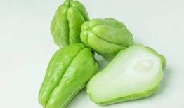 吃佛手瓜可以吃红薯吗,同食相宜的健康搭配指南