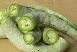 长蛇瓜如何吃