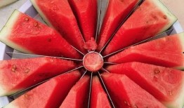 有食欲的吃瓜,跟随有食欲的吃瓜之旅