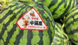湖州德清吃瓜事件视频,一场引发热议的网络视频风波