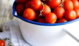 霍格沃茨吃瓜番茄,吃瓜番茄的魔法校园生活