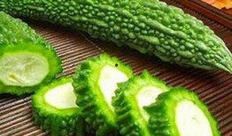 瓜棚吃瓜阅读答案,探寻夏日消暑的趣味与智慧