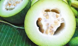 最早吃瓜,揭秘最早吃瓜者的神秘故事