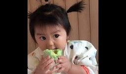 糖宝吃瓜后续,娱乐圈幕后真相曝光