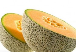 吃理中丸可以吃哈密瓜吗