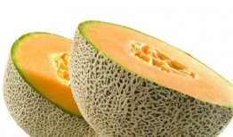 吃理中丸可以吃哈密瓜吗