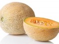 入夏吃哈密瓜,哈密瓜的入夏盛宴