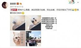 吃瓜闹肚子视频,揭秘夏日消暑美食背后的健康隐患